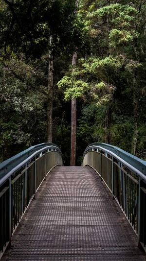 英雄联盟之传奇归来截图3