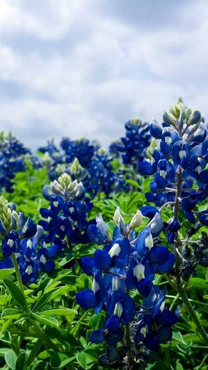 dnf手游韩服下载截图4