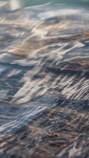 霍去病传奇的一生简介截图1