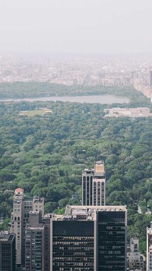 冒险岛阿曼达截图2