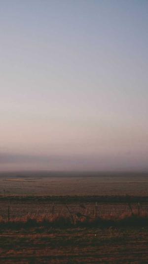 电影李小龙传奇截图1