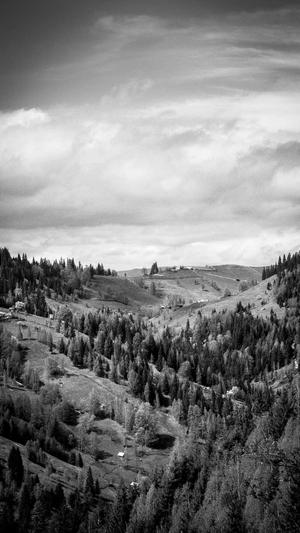 冒险岛贴吧截图2