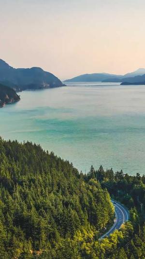 dnf代码大全截图2