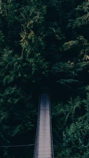 wpk辅助挂下载截图3