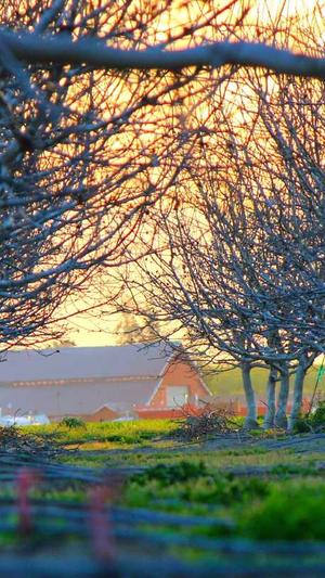 传奇世界私服发布站截图1