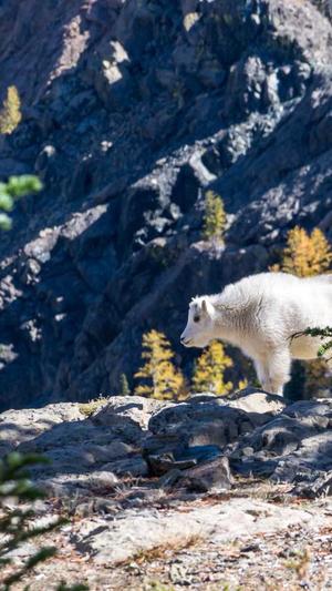 dnf多少级觉醒截图2