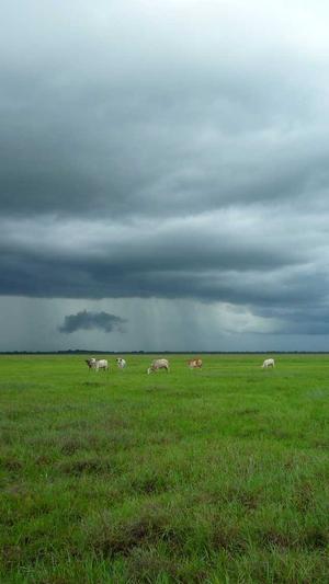 冒险岛一条龙截图4