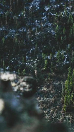 冒险岛m国际服截图5