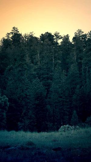 dnf双开工具截图2