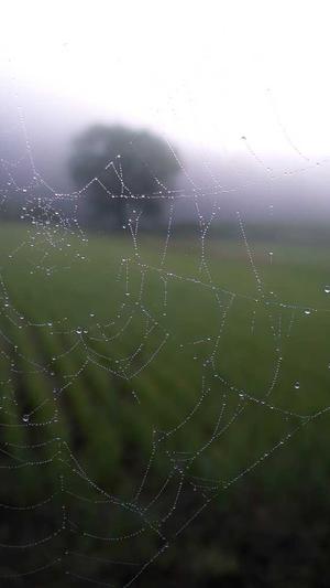 超变英雄合击传奇截图4