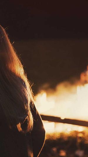 传奇sf发布网站截图2