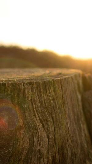 武易传奇官网截图2