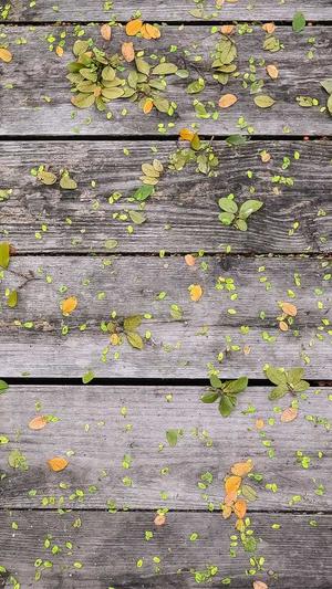 冒险岛战神攻略截图3