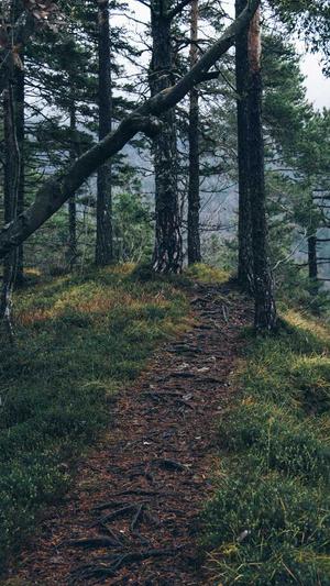 神医喜来乐传奇截图1