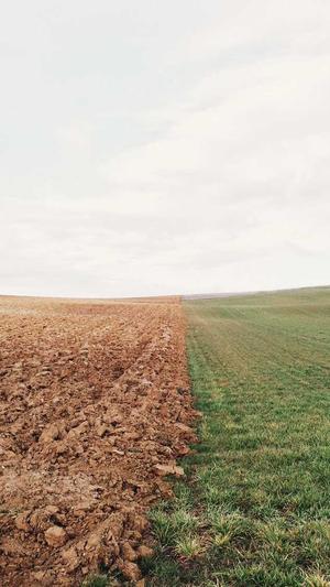 dnf装备找回截图2