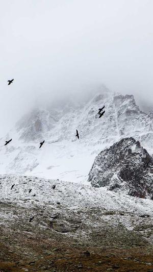 新开传奇轻变截图1