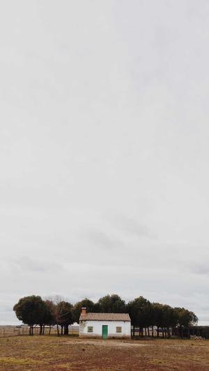 冒险岛枫之传说截图4