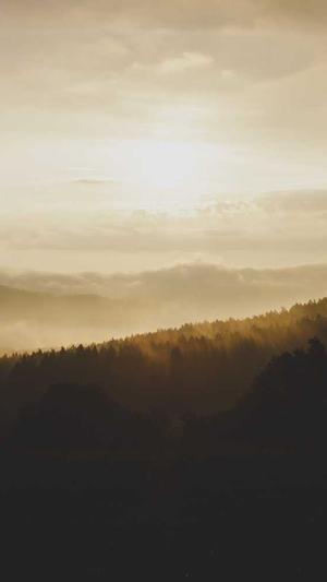 武媚娘传奇演员表截图2