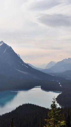 冒险岛挂机升级路线2018截图3