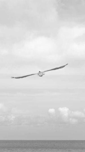 dnf浓缩的纯洁之骸怎么得截图4