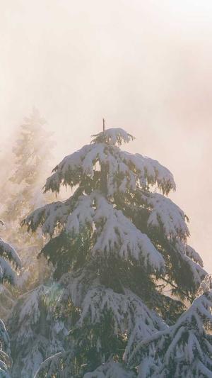 经典传奇私服截图2