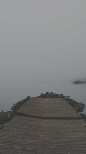 梦幻西游无限仙玉私服截图2