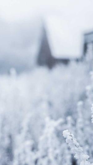 热血传奇花屏补丁截图1