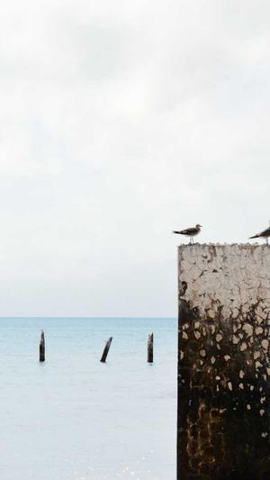 冒险岛2018黑骑士加点截图2