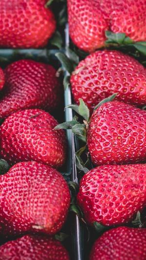 乙未豪客传奇截图4