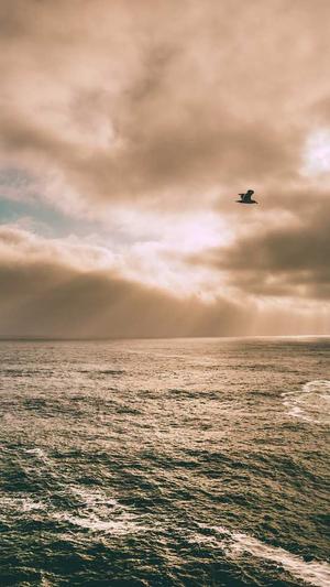 冒险岛阿黛尔技能截图3