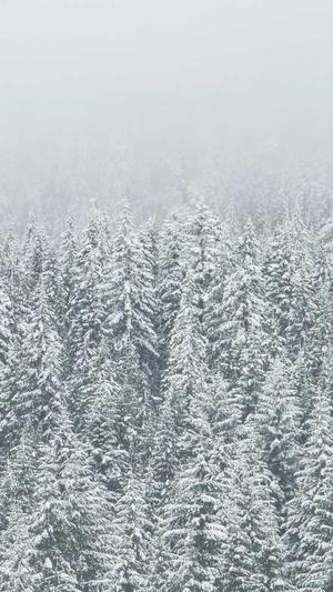 dnf狂暴者吧截图2