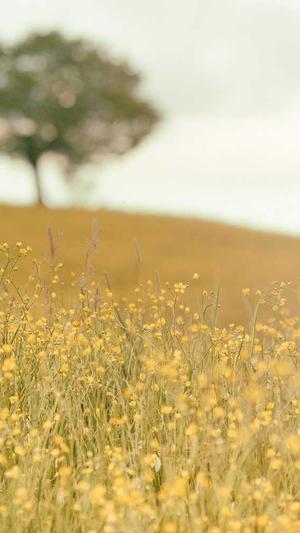 冒险岛进阶扎昆截图2