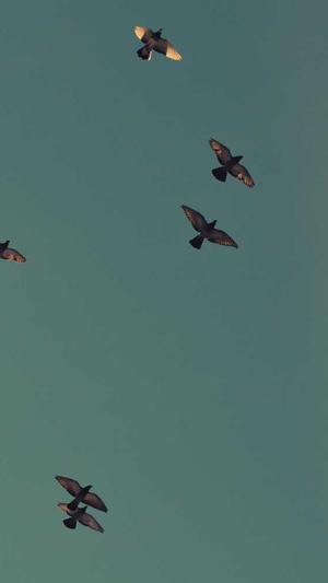 匪帮说唱传奇截图3