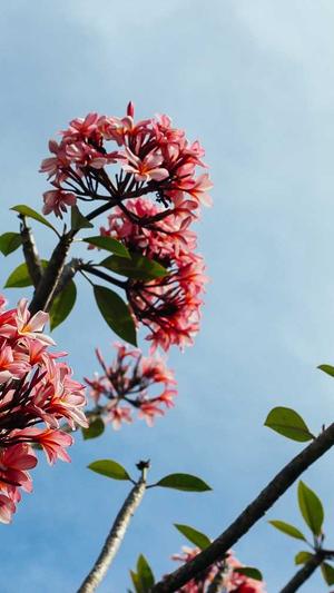 dnf装备强化截图1