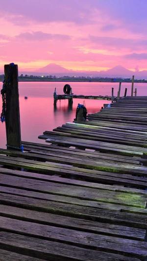 夜生活女王之霞姐传奇截图4