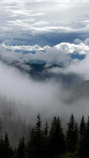 dnf进化之光截图3