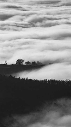 冒险岛鲁塔比斯任务截图1