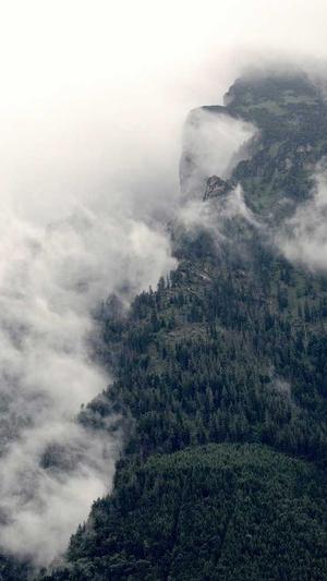 冒险岛黑暗天堂攻略截图1