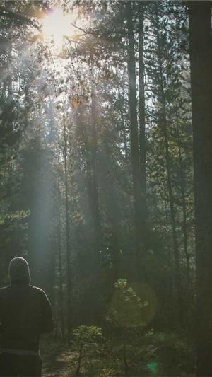 冒险岛神之子截图2