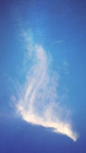 网通1.80传奇截图3