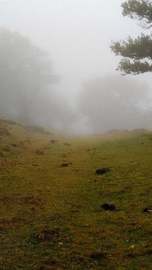 冒险岛2牧师技能加点截图3