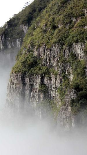 冒险岛必做任务截图3