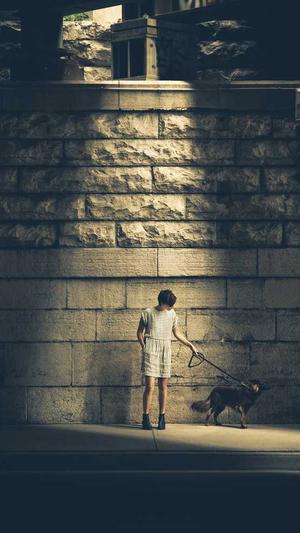 冒险岛图鉴截图1