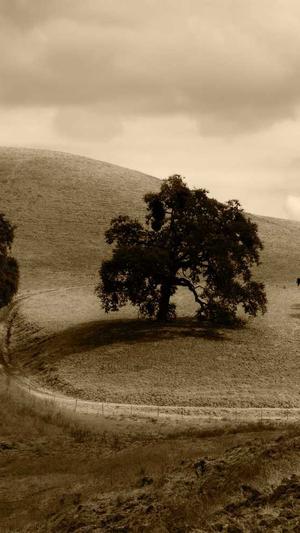 冒险岛特殊符号截图3